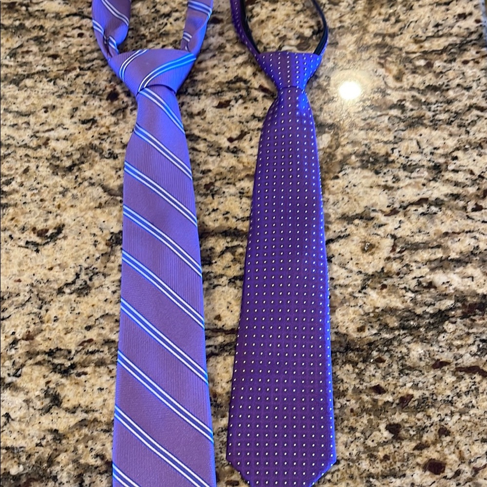 Stylish Purple Ties Set